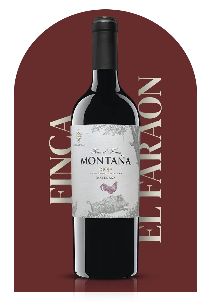 webroija_montaña_faraon